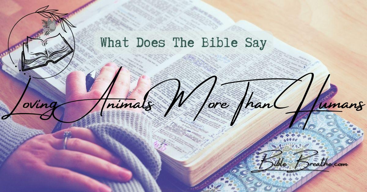 what does the bible say about loving animals more than humans BibleBreathe Featured Image