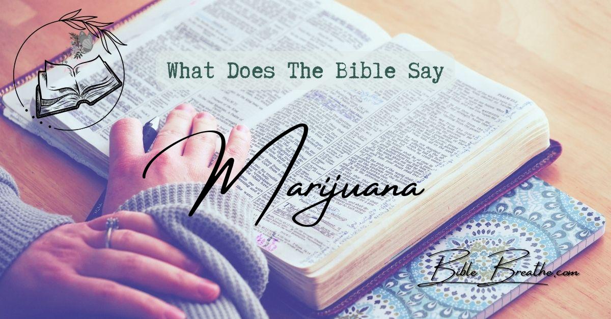 what does the bible say about marijuana BibleBreathe Featured Image