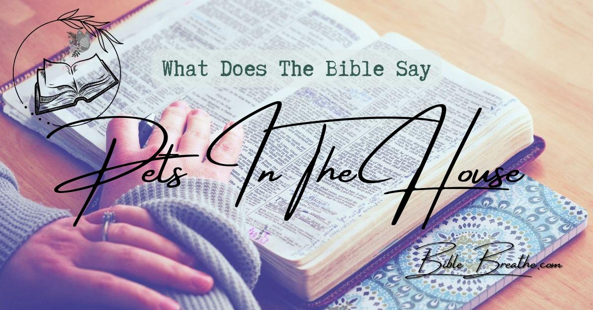 what does the bible say about pets in the house BibleBreathe Featured Image