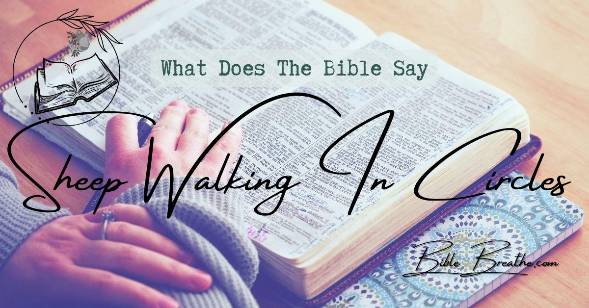 what does the bible say about sheep walking in circles BibleBreathe Featured Image
