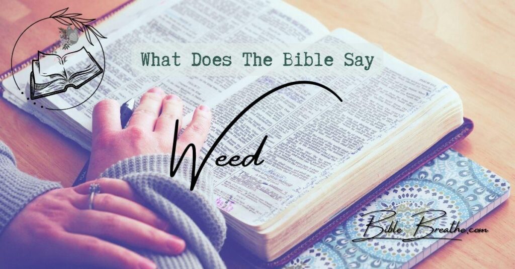 what does the bible say about weed BibleBreathe Featured Image