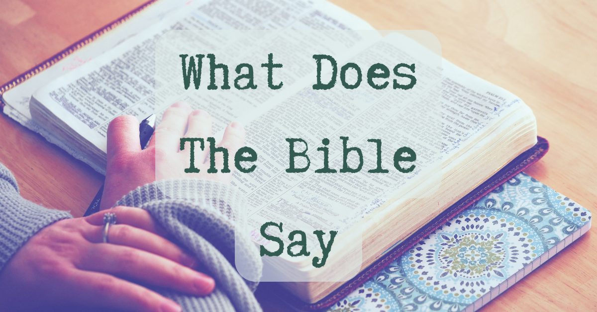 What Does The Bible Say Homepage