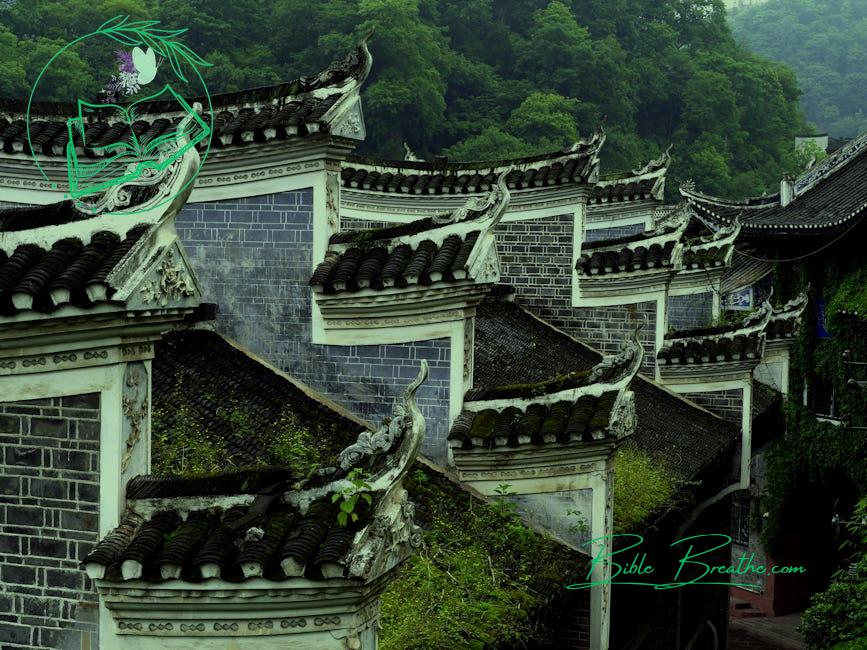 White and Black Temple Roof