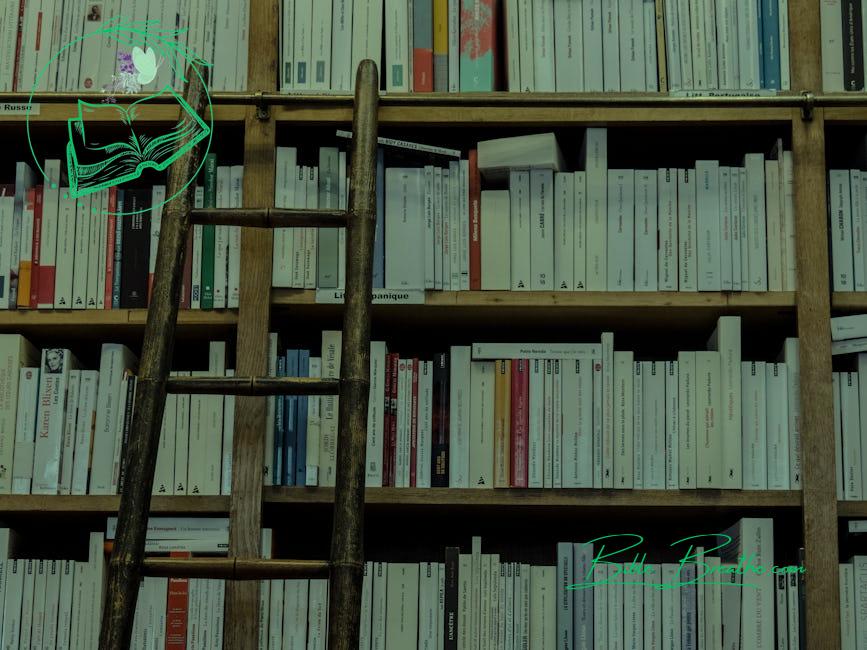 Brown Wooden Ladder on Brown Wooden Bookshelf