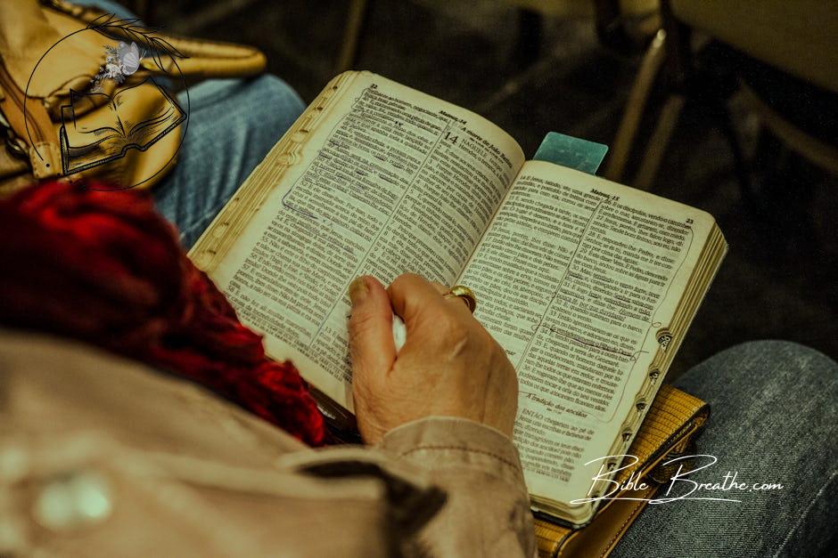 Person Holding Opened Book