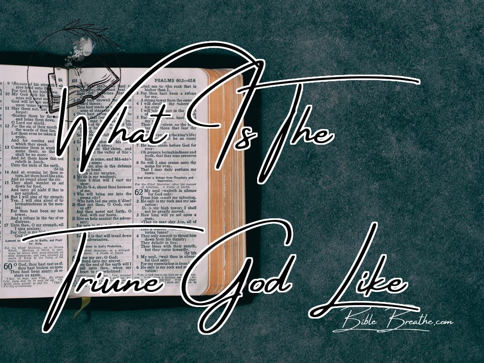 What Is The Triune God Like Featured Image