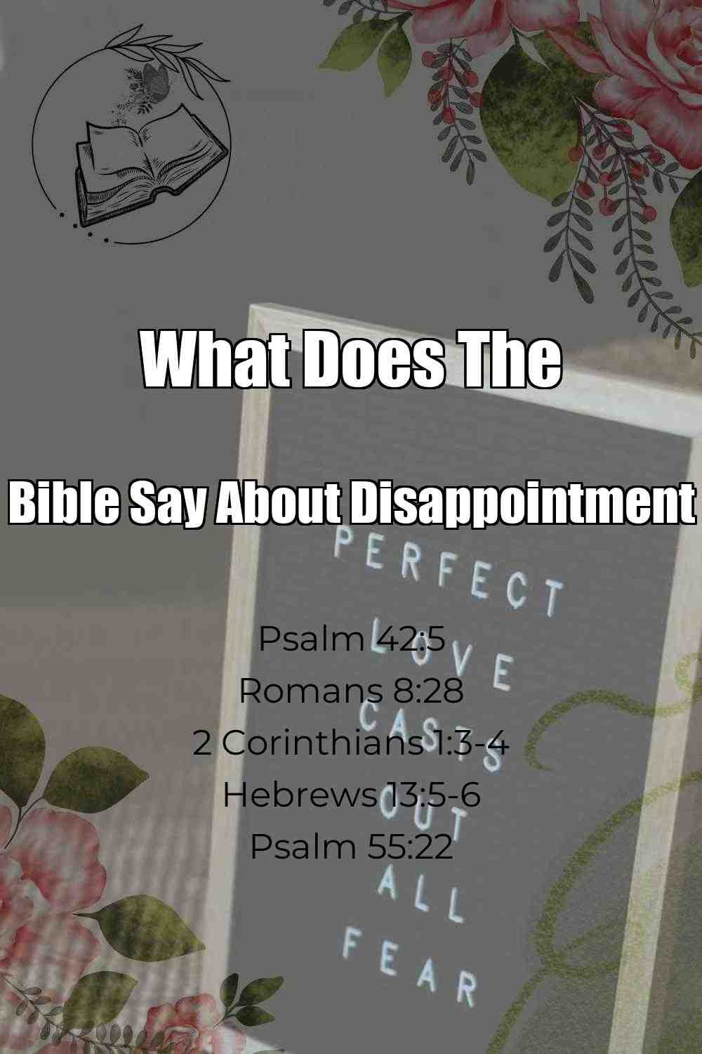 Pinterest Pin About What Does The Bible Say About Disappointment