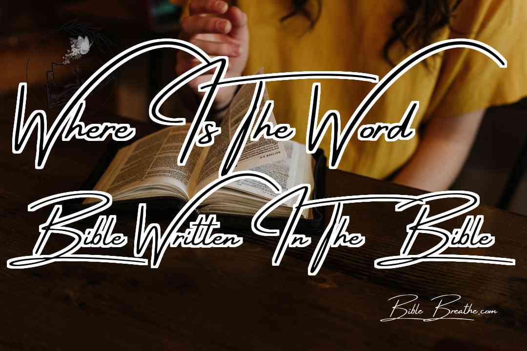 Where Is The Word Bible Written In The Bible Featured Image