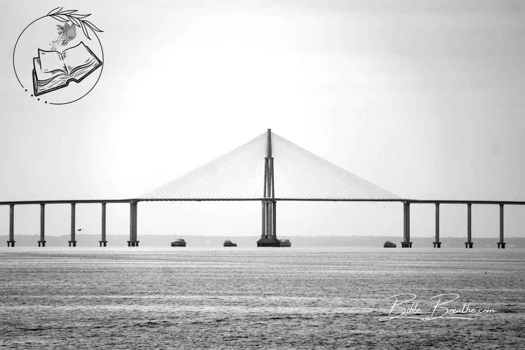 Rio Negro Bridge