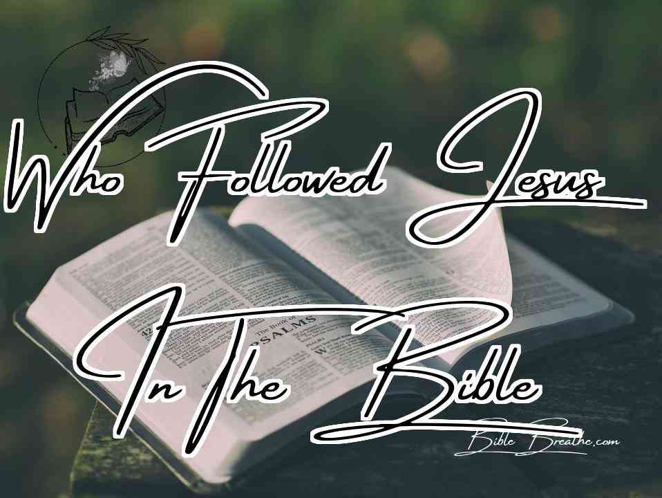 Who Followed Jesus In The Bible Featured Image