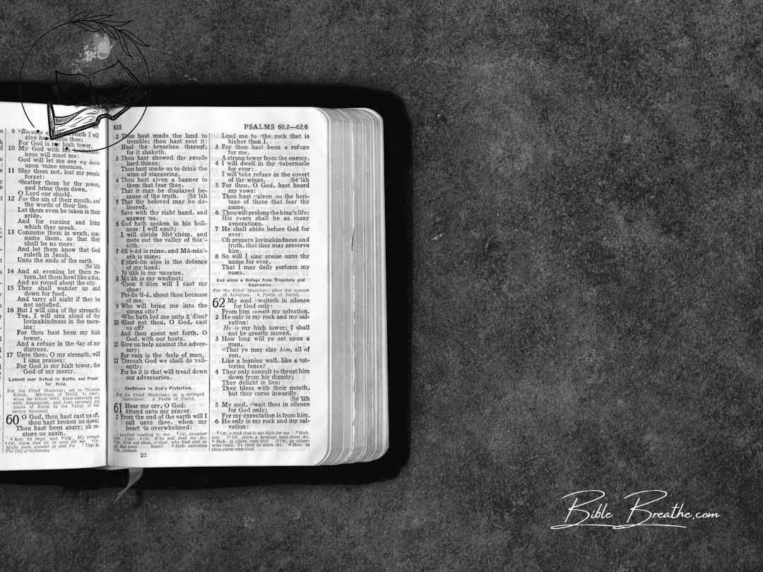 Picture from biblebreathe.com