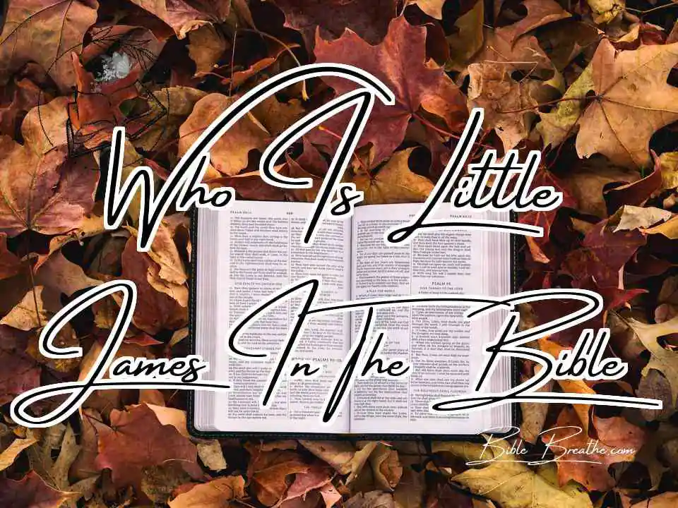 Who Is Little James In The Bible Featured Image